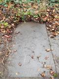 image of grave number 445739